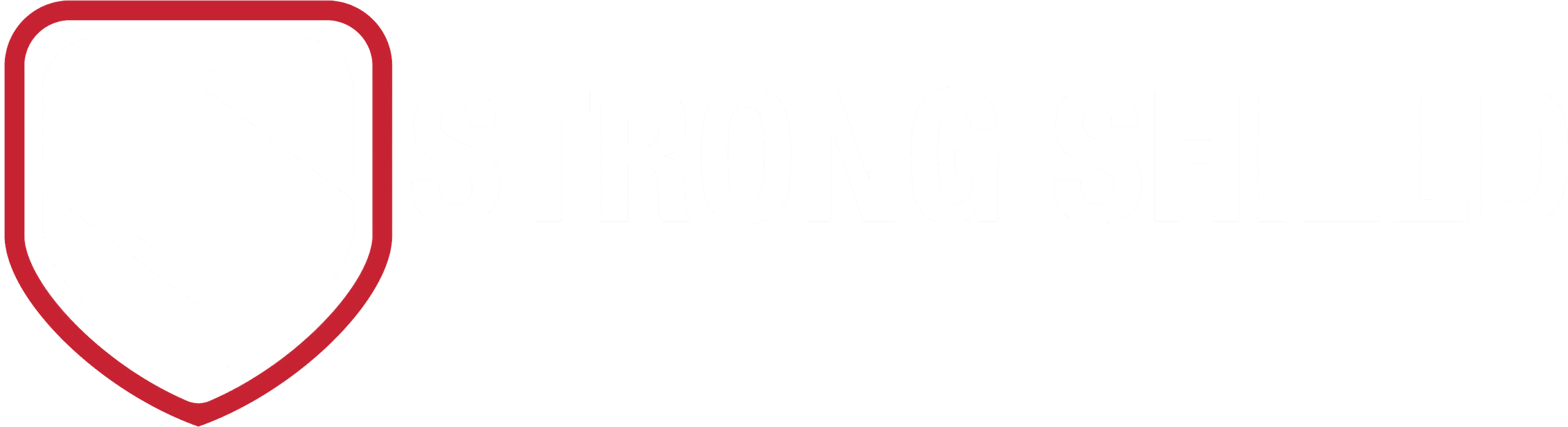 Strong Shield Doors